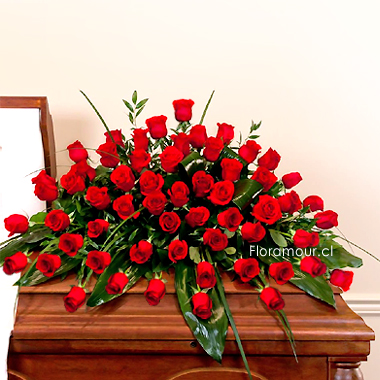Bello Cubre urna de 70 rosas importadas. Solo Santiago - seleccione color de rosas